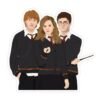 ron, hermione y harry con varitas